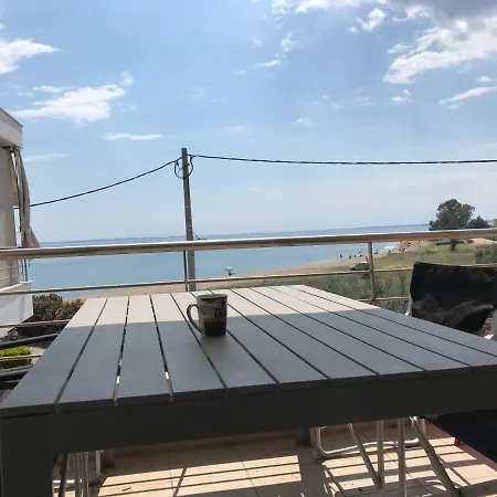 Appartement Chalkidiki Olivia *