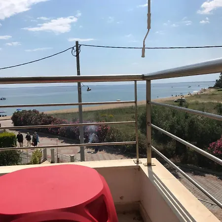 Chalkidiki Olivia