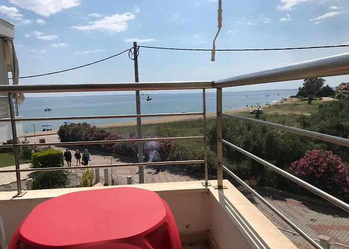 Chalkidiki Olivia